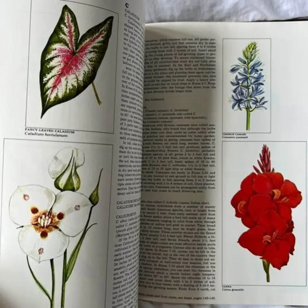 Bulbs, The Time-Life Encyclopedia of Gardening